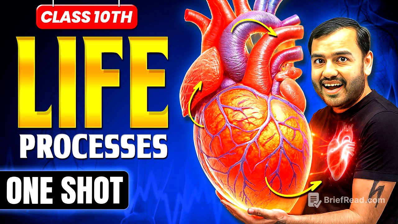 Life Processes class 10 science biology || Complete CHAPTER IN ONE SHOT || NCERT Covered ||