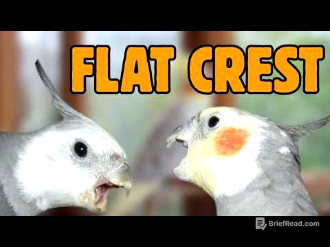 10 Cockatiel Warning Signs You Should NEVER Ignore #cockatiel #cockatielbird #cockatiels