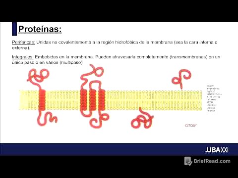 Biología e Introducción a la Biología Celular (091): Biomembranas y Transporte (II)