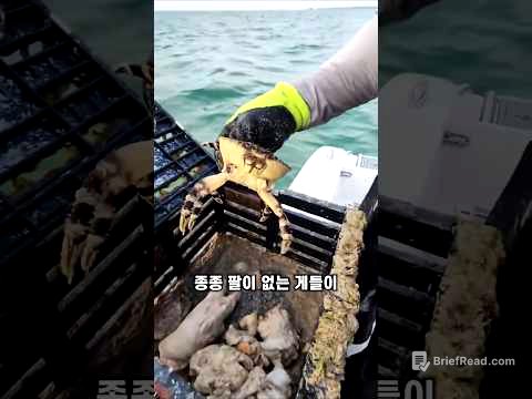 플로리다에서 게로 태어나면 안되는 이유  #동물  #지식 #게 #스톤크랩