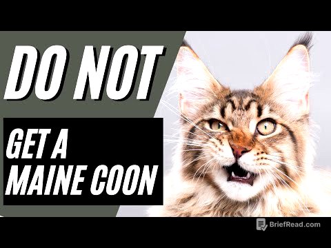 7 Reasons You SHOULD NOT Get A Maine Coon