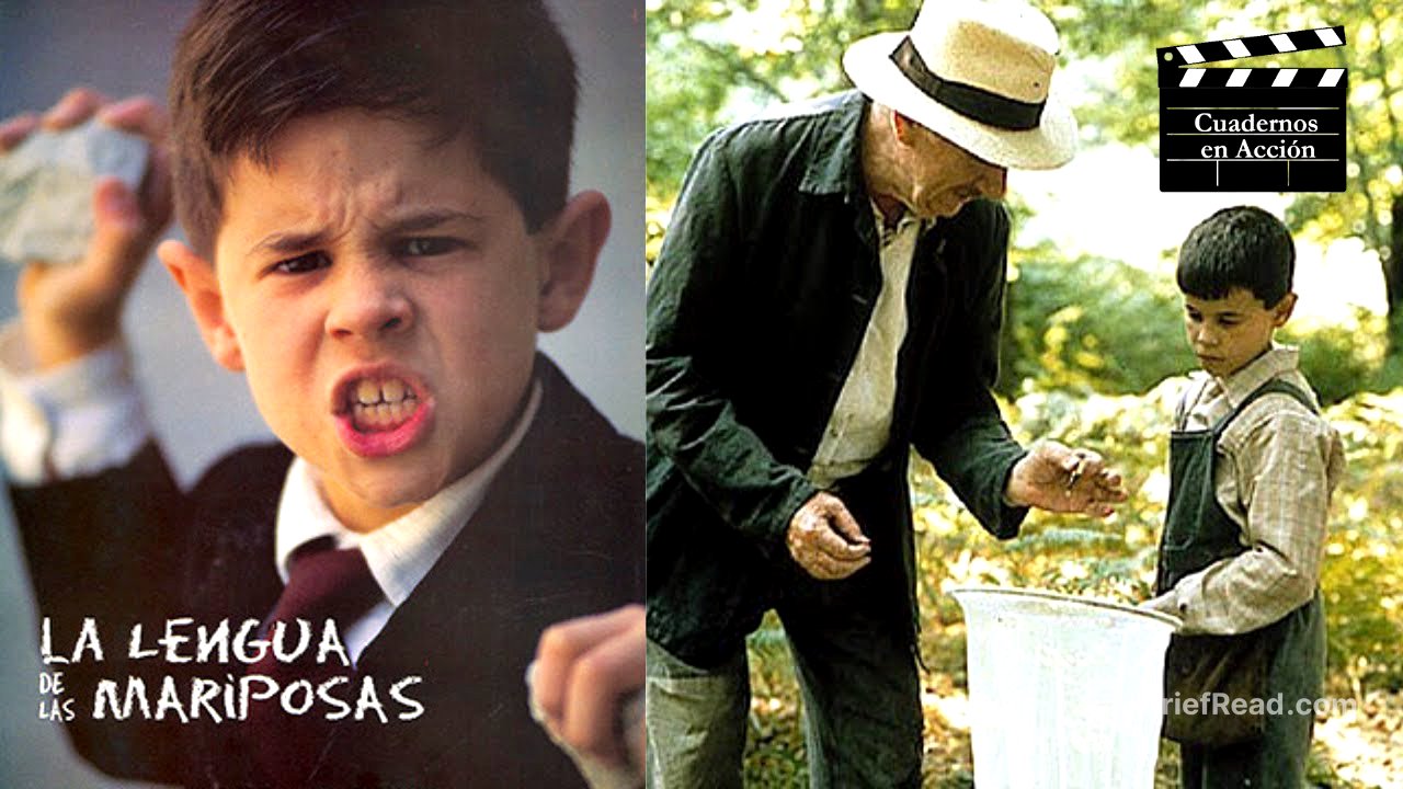 Análisis de La lengua de las mariposas (1999), de José Luis Cuerda. Un mirada sobre la educación.
