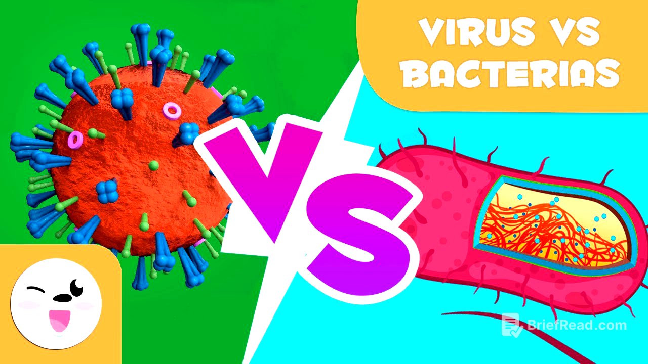 Virus vs. bacterias - ¿Cuáles son sus diferencias?