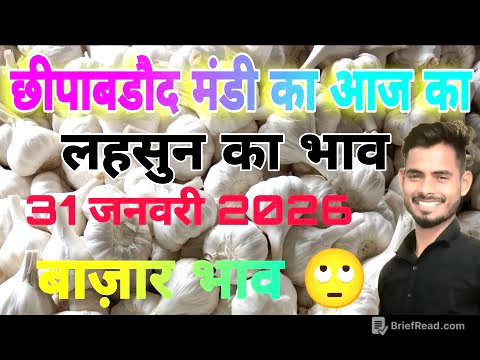 Chhipabarod Lahsun Mandi Ka Bhav | Today Garlic Rate | Aaj Ka Lahsun Ka Bhav | Garlic prices