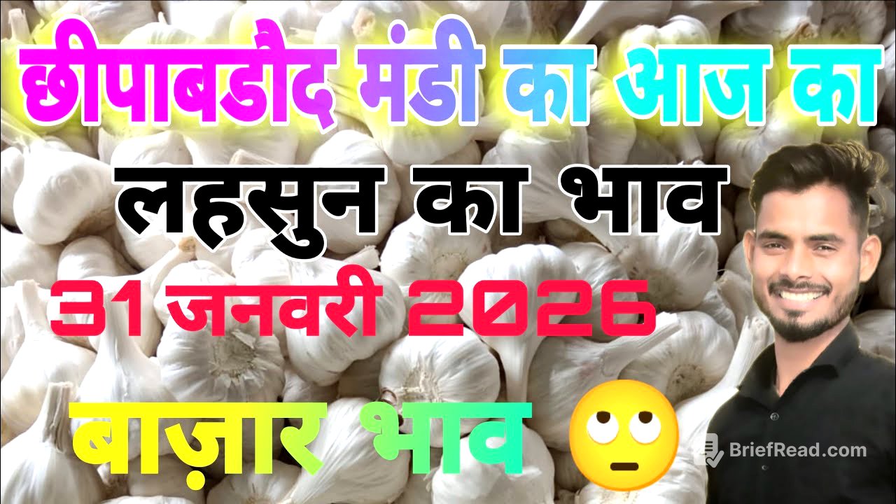 Chhipabarod Lahsun Mandi Ka Bhav | Today Garlic Rate | Aaj Ka Lahsun Ka Bhav | Garlic prices