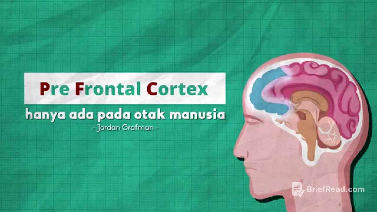 Bahaya Pornografi : Merusak Otak