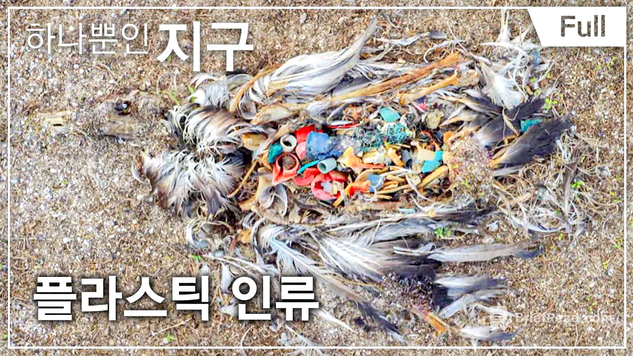 [하나뿐인 지구] 플라스틱 인류 20160722