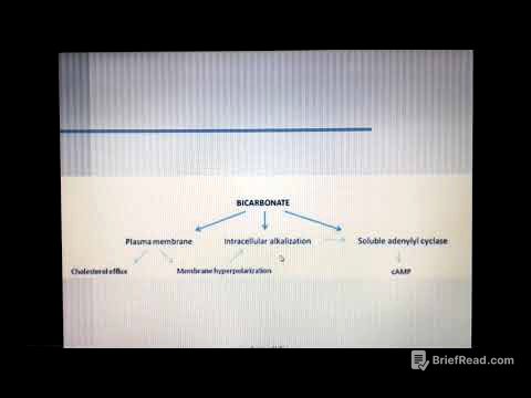 Fertilization part 5