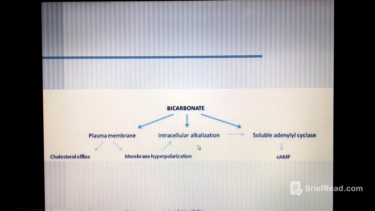 Fertilization part 5