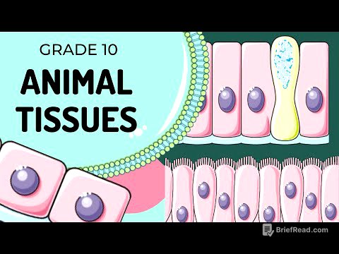 Animal Tissues