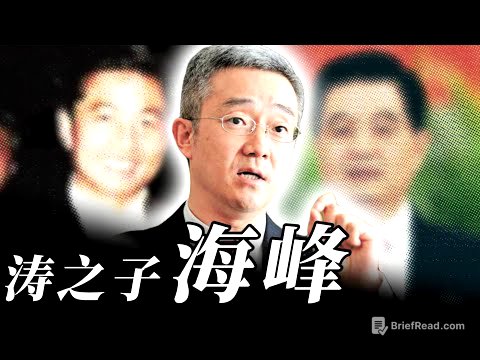 不一样的干部 - 锦涛之子胡海峰