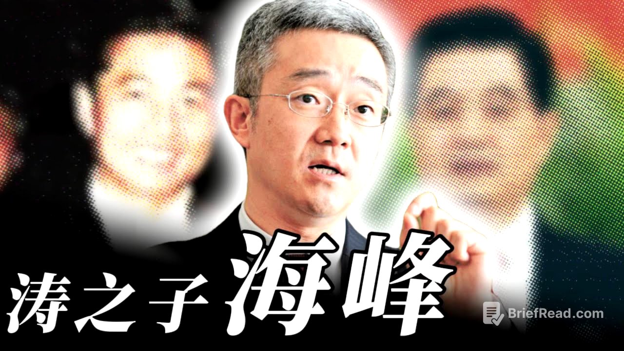 不一样的干部 - 锦涛之子胡海峰