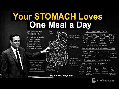 Why Eating Once a Day Helps YOUR Gut but Costs YOUR Muscle