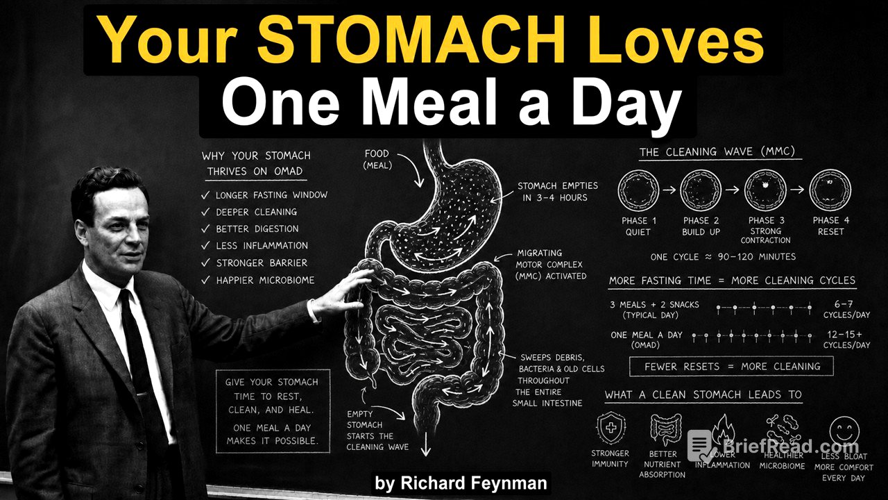 Why Eating Once a Day Helps YOUR Gut but Costs YOUR Muscle