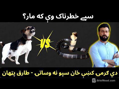 Dog bite vs Snake bite - Rabies explained by Tariq Pathan