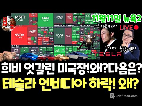 미국주식시황/3일 연속상승이유? 테슬라 엔비디아 메타 팔란티어 하락!왜? 구글 애플 아마존 마이크로소프트아이온큐 리게티 AMD 브로드컴 오라클 코어위브 UNH LLY 노보 네비우스