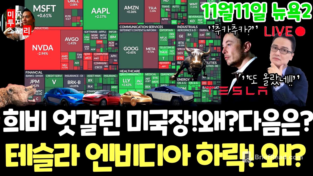 미국주식시황/3일 연속상승이유? 테슬라 엔비디아 메타 팔란티어 하락!왜? 구글 애플 아마존 마이크로소프트아이온큐 리게티 AMD 브로드컴 오라클 코어위브 UNH LLY 노보 네비우스