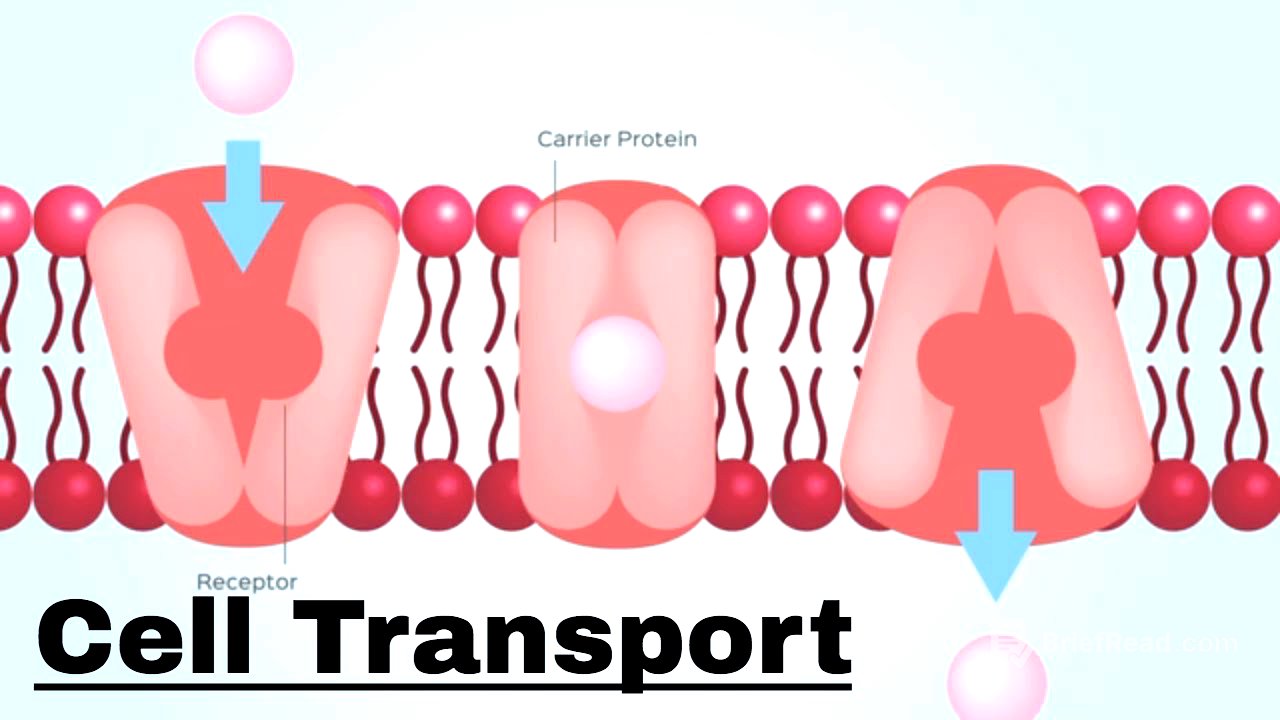 Cell transport- Passive and Active Transport
