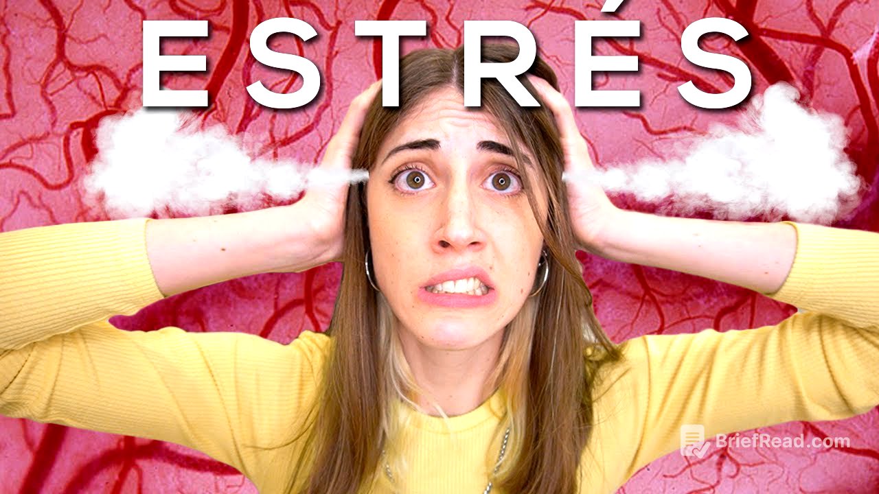 Así afecta el ESTRÉS a nuestro CUERPO