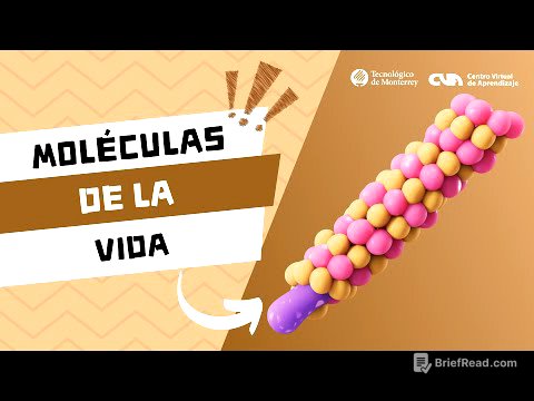 Química orgánica - Introducción