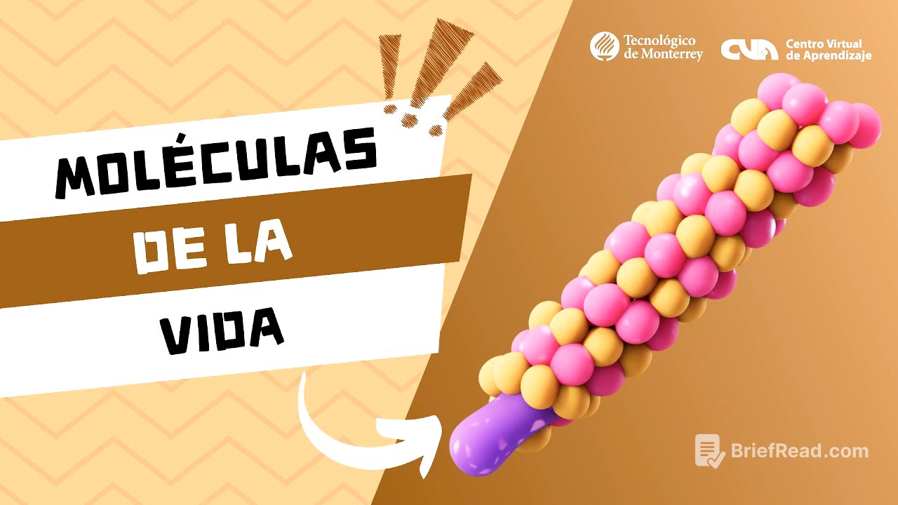 Química orgánica - Introducción