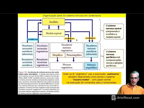 Sistema Nervoso FACB7 parte 11