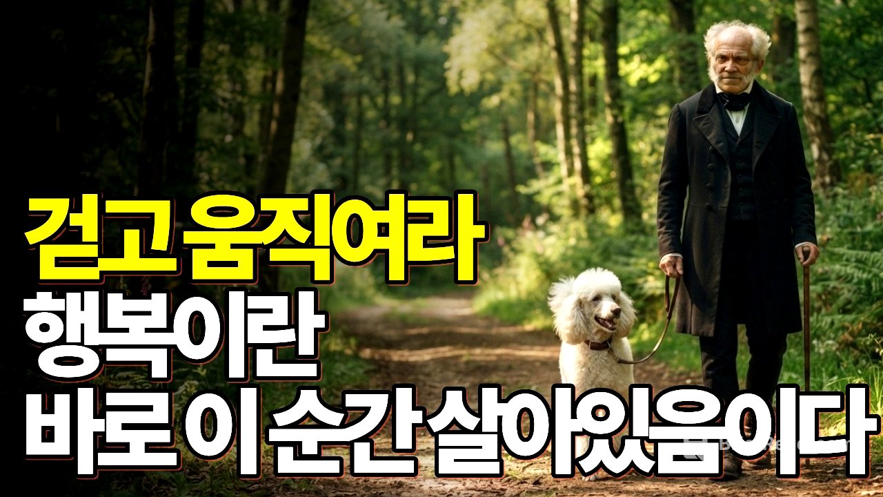 행복을 쫓는 사람은 행복해질 수 없다 | 쇼펜하우어 행복론 | 아리스토텔레스 행복론