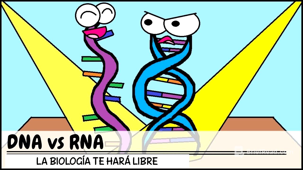 👉🏻 Biología 3 Pre San Marcos REPLICACION DEL ADN Transcripción y Traducción 😍🌿 DOGMA DE LA BIOLOGIA