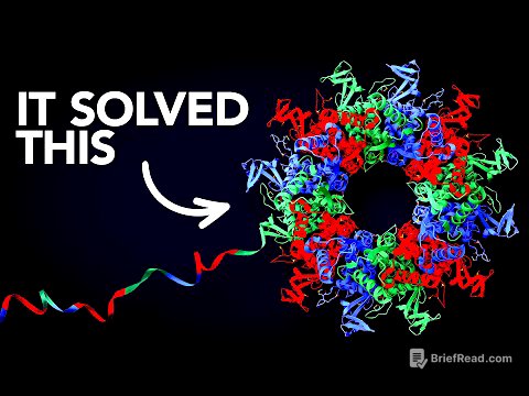 What if all the world's biggest problems have the same solution?