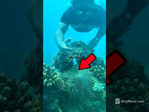 This Bizarre Starfish is DESTROYING the Ocean!