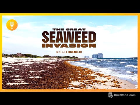 The Great Seaweed Invasion | Breakthrough