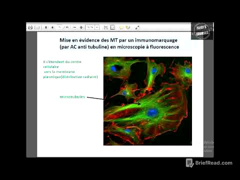Les microtubules