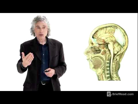 Steven Pinker: Linguistics as a Window to Understanding the Brain | Big Think