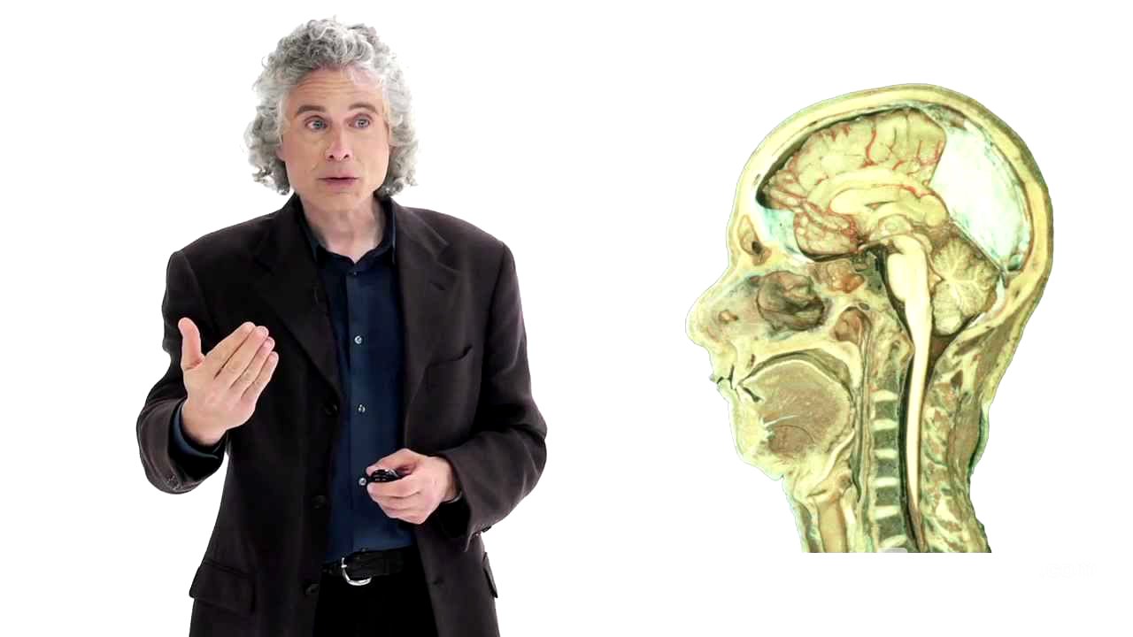 Steven Pinker: Linguistics as a Window to Understanding the Brain | Big Think
