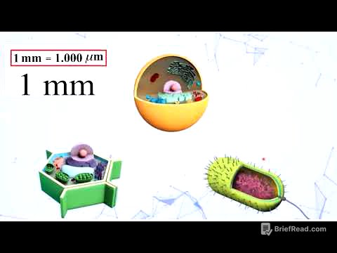 CÉLULA: introducción,  célula Eucariota