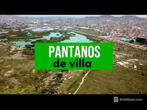 Pantanos de Villa, características, importancia, problemáticas ambientales y posibles soluciones