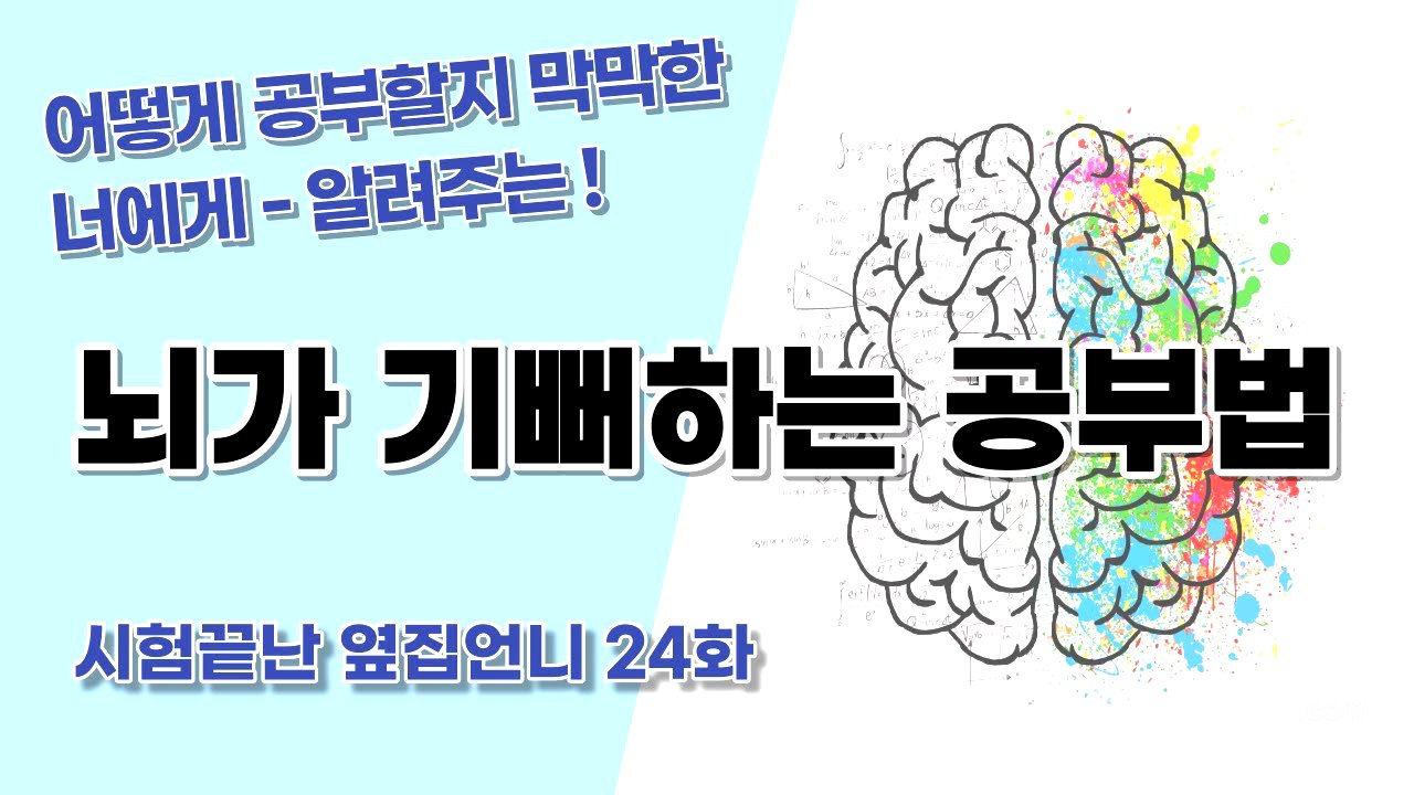 어떻게 공부할지 막막한 너에게 "뇌과학 공부법"ㅣ뇌가 좋아하는 공부법ㅣ뇌가 기뻐하는 공부법