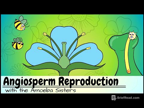 Angiosperm (Flowering Plants) Reproduction UPDATED