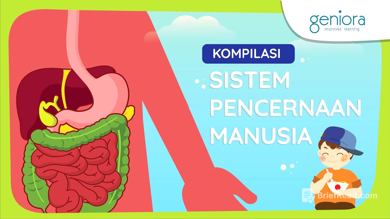 Sistem Pencernaan Manusia: Proses Pencernaan, Penyakit Sistem Pencernaan, dan Pola Makan Sehat | IPA