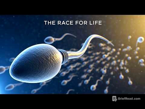 The Race for Life – Inside the Journey of Human Conception