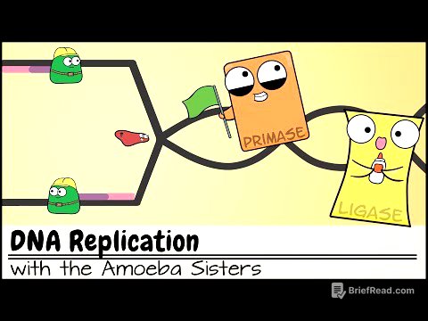 DNA Replication (Updated)