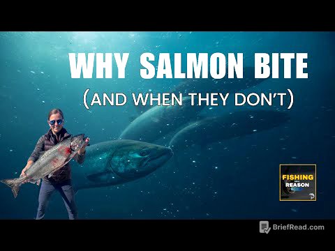What Makes Salmon Bite? The Science Behind Tides, Moon Phases, Scent & More