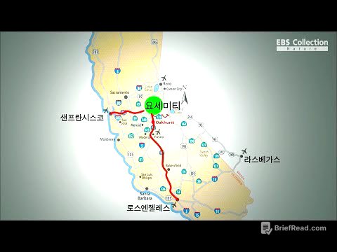 빙하가 빚은 예술 '요세미티'