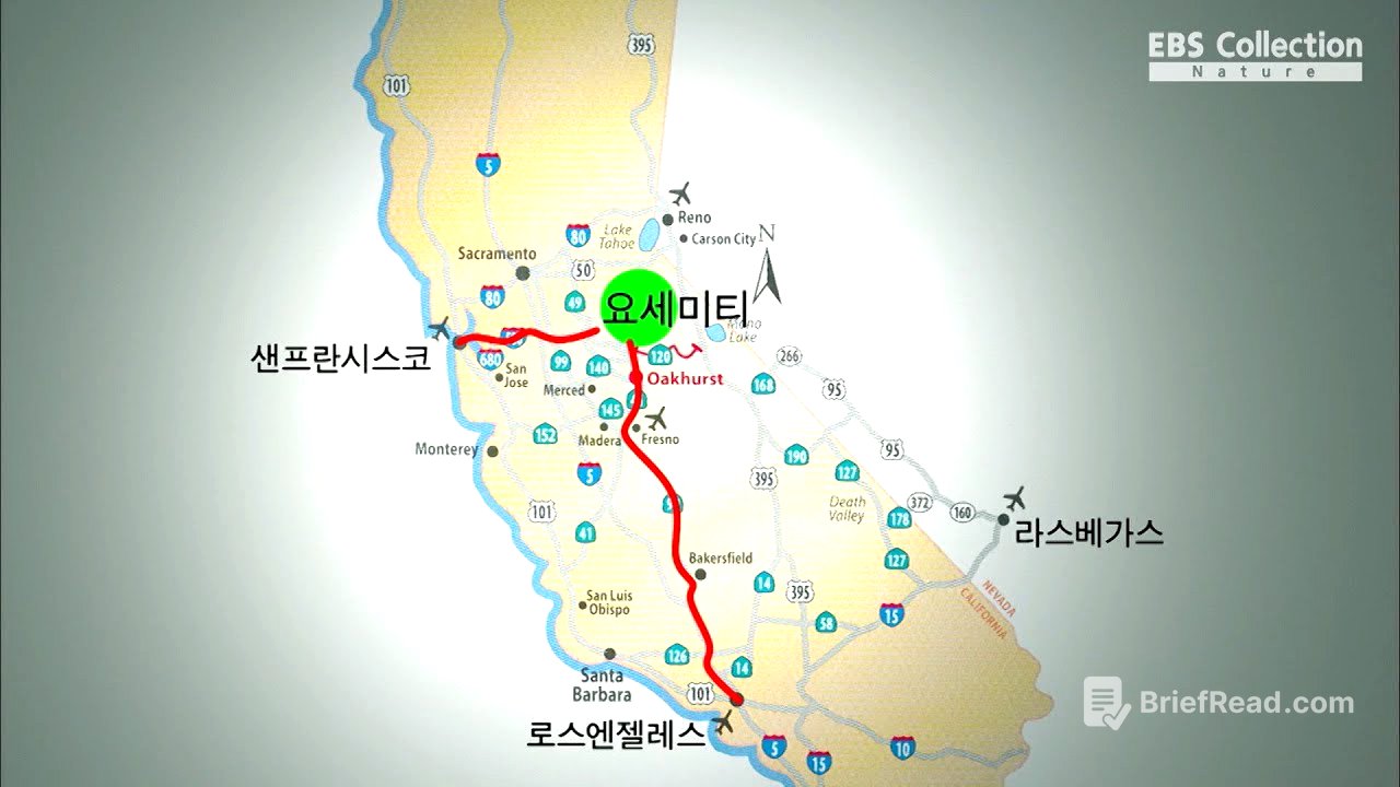 빙하가 빚은 예술 '요세미티'