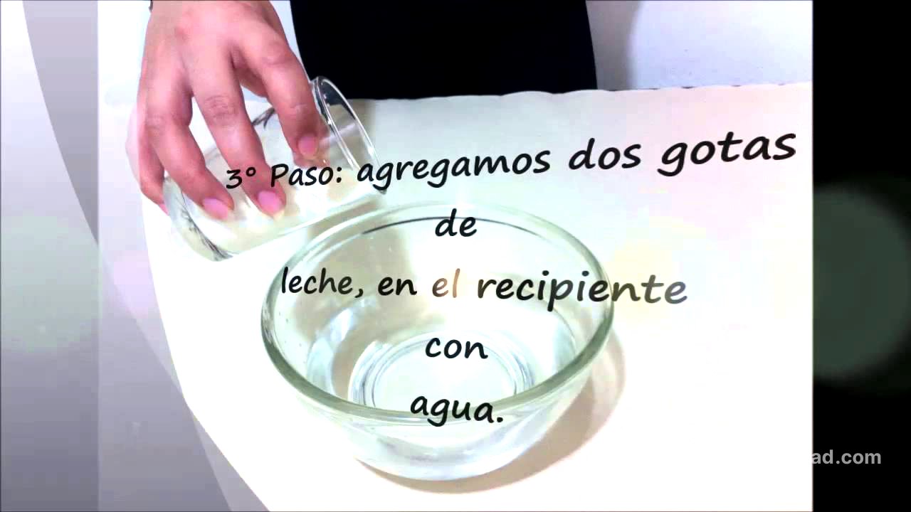 EXPERIMENTO REFRACCIÓN Y REFLEXIÓN DE LA LUZ