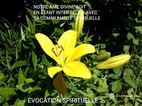 NOTRE ÂME AGIT EN RÉSEAU AVEC SA COMMUNAUTÉ FRATERNELLE ET SPIRITUELLE, jamais seule...
