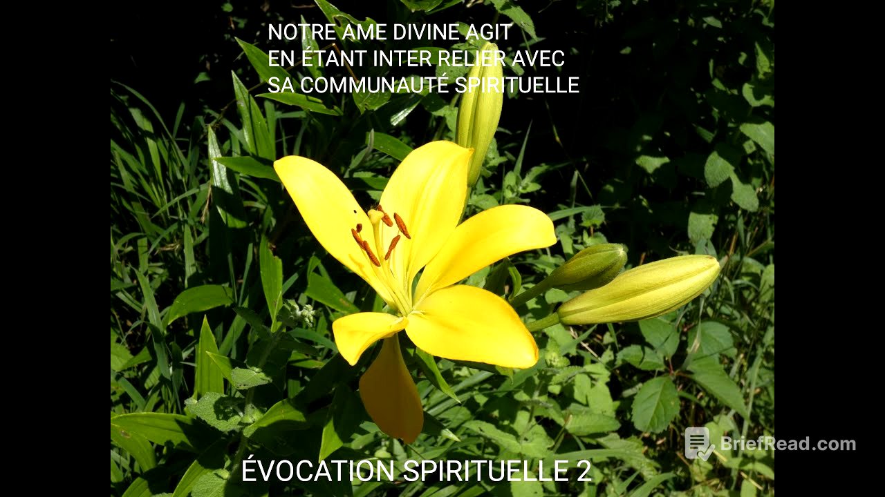 NOTRE ÂME AGIT EN RÉSEAU AVEC SA COMMUNAUTÉ FRATERNELLE ET SPIRITUELLE, jamais seule...