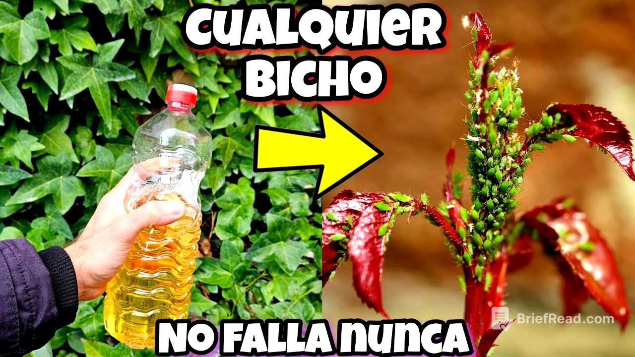 MATA al 99,7% de los BICHOS y PLAGAS de tus PLANTAS y CASA con este INSECTICIDA Casero (Con AJO)