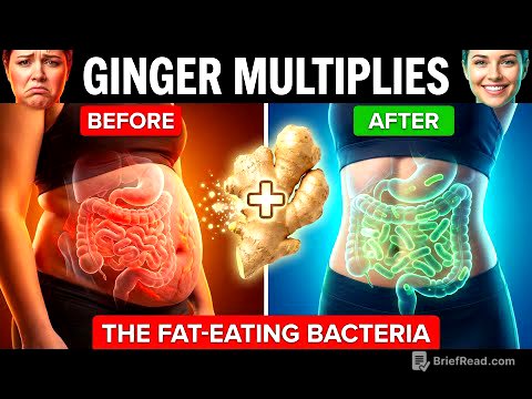 Scientists Found The Bacteria That Eats Visceral Belly Fat (And How Ginger Multiplies It)