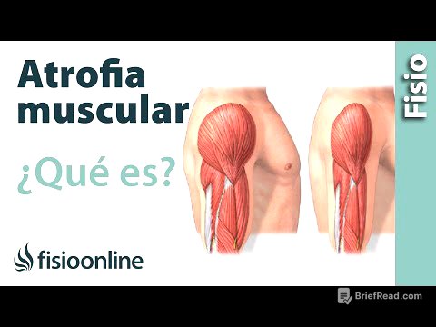 Atrofia muscular - Qué es y cómo sucede